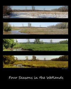 Winter,Spring, Summer, or Fall